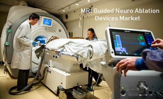 MRI Guided Neuro Ablation Devices Market